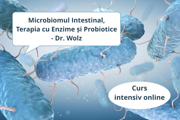 Curs intensiv ONLINE: Microbiomul Intestinal, Terapia cu Enzime și Probiotice - Dr. Wolz