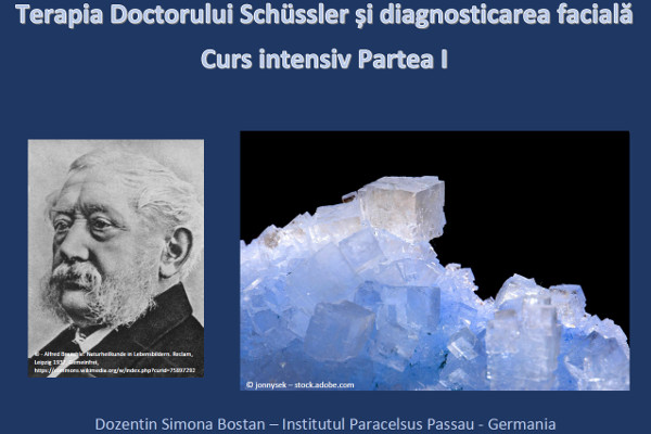 Terapia Doctorului Schüssler si diagnosticarea faciala <br /> Curs intensiv Partea I